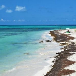 Meet your Posher, Rikkelle